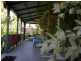 126 Tyalgum Road, Eungella NSW 2484