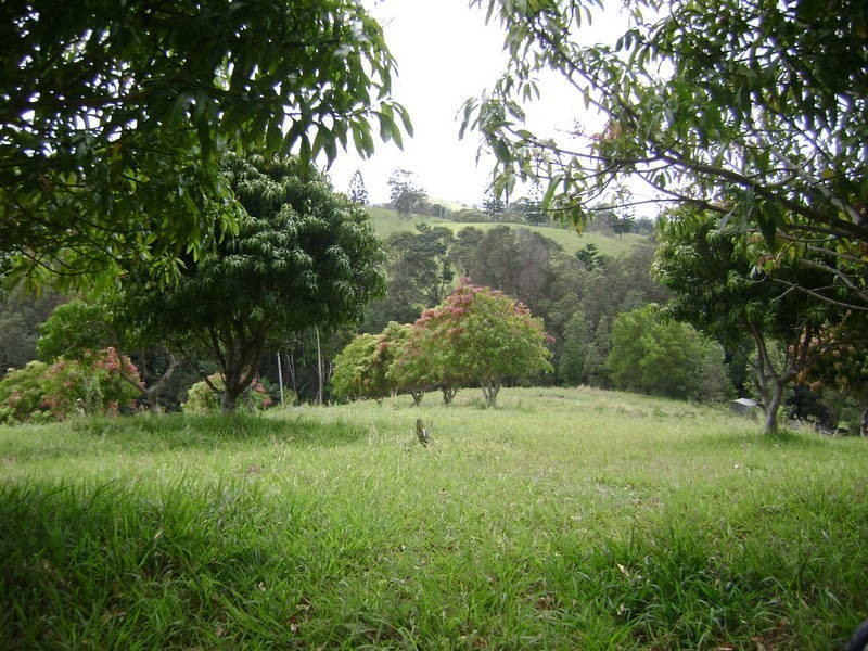 97 Woodfords Rd, Reserve Creek NSW 2484