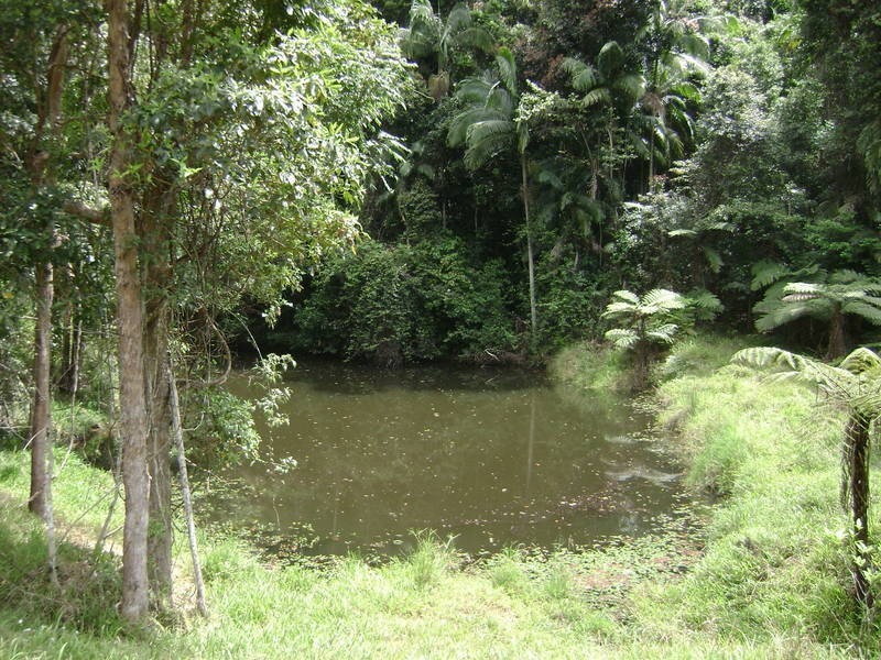 97 Woodfords Rd, Reserve Creek NSW 2484