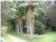 97 Woodfords Rd, Reserve Creek NSW 2484