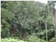 97 Woodfords Rd, Reserve Creek NSW 2484