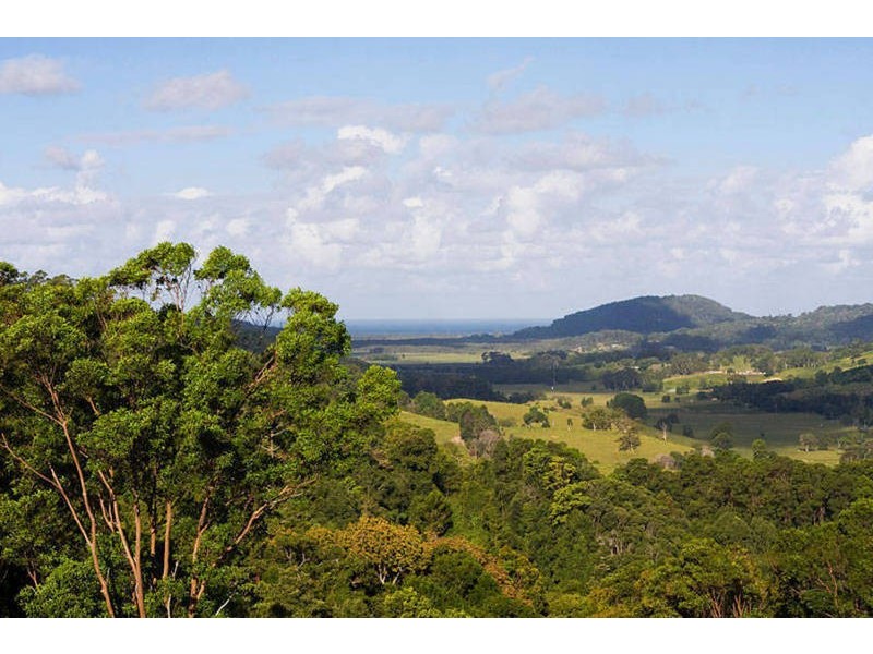 Farrants Hill NSW 2484