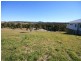 14 Euodia Avenue, Pottsville NSW 2489