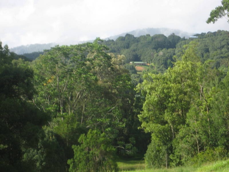 33 Meadow Place, Uki NSW 2484