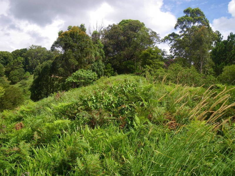 306 Eviron Road, Eviron NSW 2484