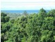 39 Sutherland Street, Kingscliff NSW 2487
