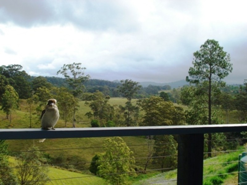 North Tumbulgum NSW 2490