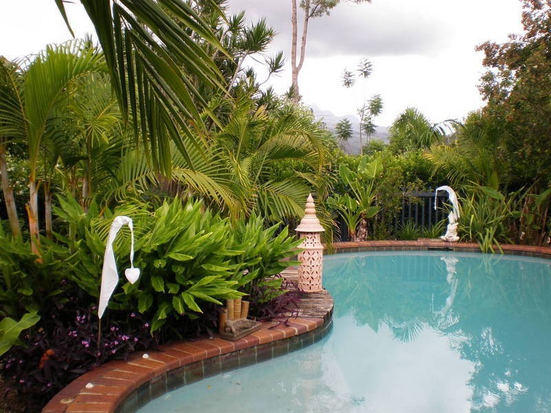 126 Tyalgum Road, Eungella NSW 2484