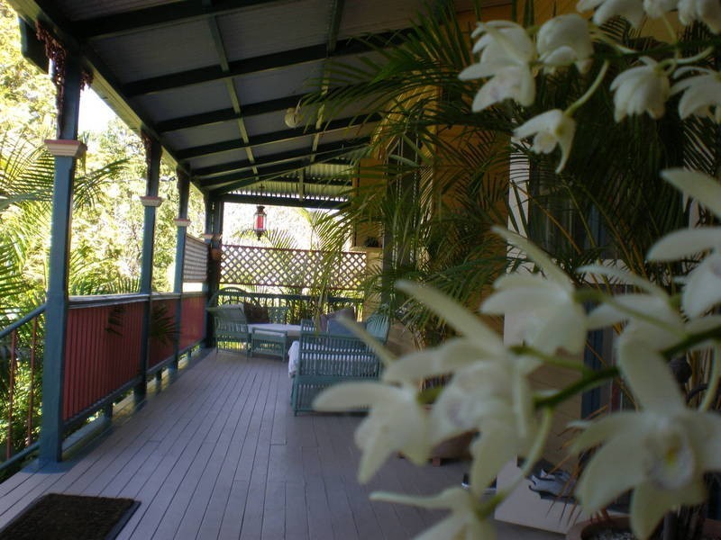 126 Tyalgum Road, Eungella NSW 2484