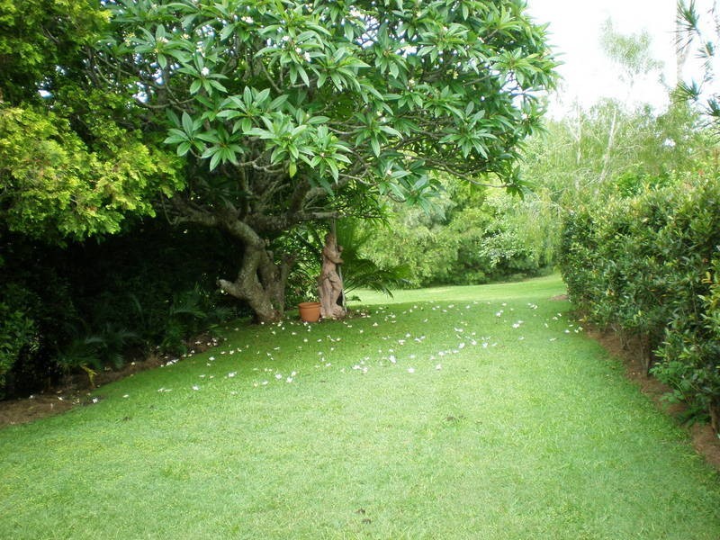 126 Tyalgum Road, Eungella NSW 2484