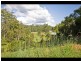 254 Clothiers Creek Road, Clothiers Creek NSW 2484