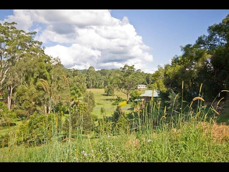 254 Clothiers Creek Road, Clothiers Creek NSW 2484
