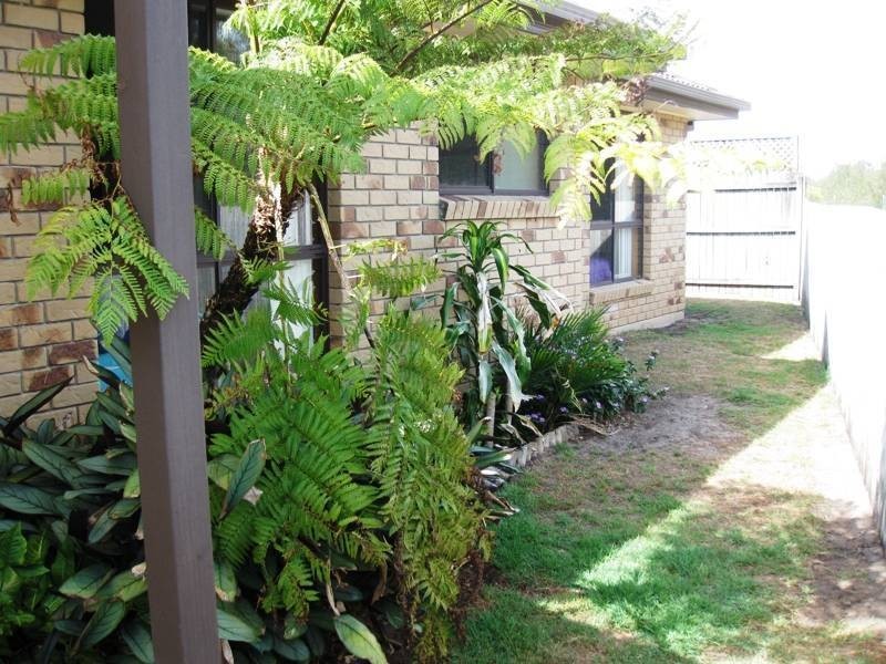 Kingscliff NSW 2487