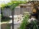 Kingscliff NSW 2487