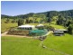 293 Upper Crystal Creek Road, Upper Crystal Creek NSW 2484