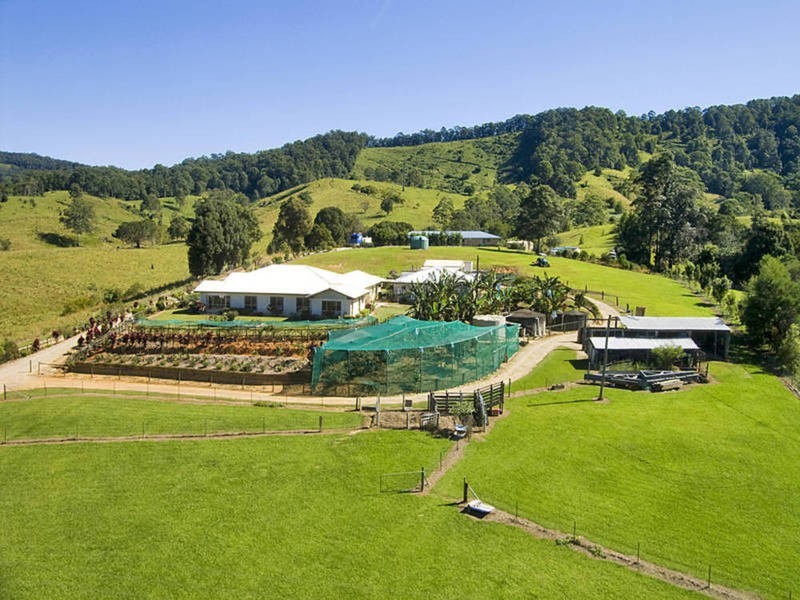 293 Upper Crystal Creek Road, Upper Crystal Creek NSW 2484