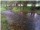 293 Upper Crystal Creek Road, Upper Crystal Creek NSW 2484