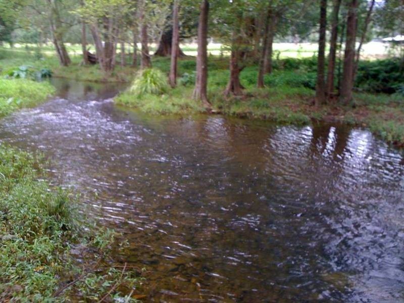 293 Upper Crystal Creek Road, Upper Crystal Creek NSW 2484