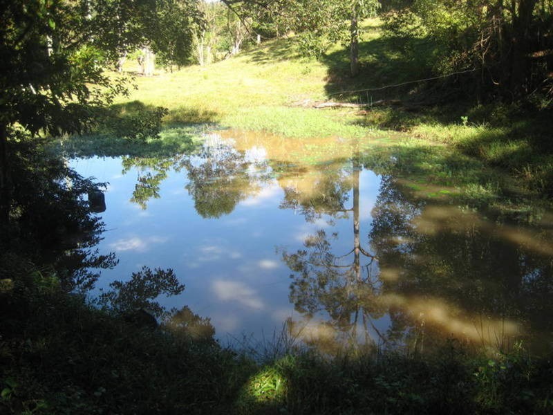 33 Meadow, Uki NSW 2484