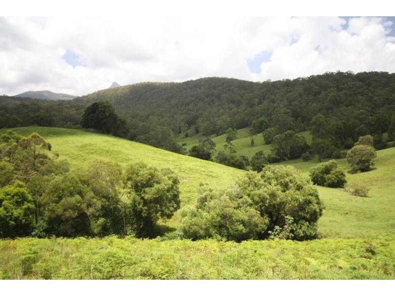 4 Boormans Road, Limpinwood NSW 2484