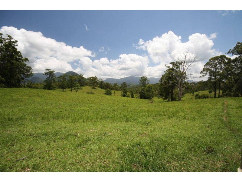 4 Boormans Road, Limpinwood NSW 2484