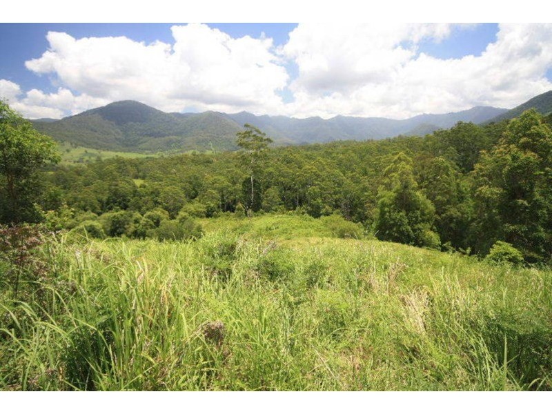 4 Boormans Road, Limpinwood NSW 2484