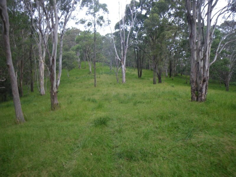 4 Boormans Road, Limpinwood NSW 2484