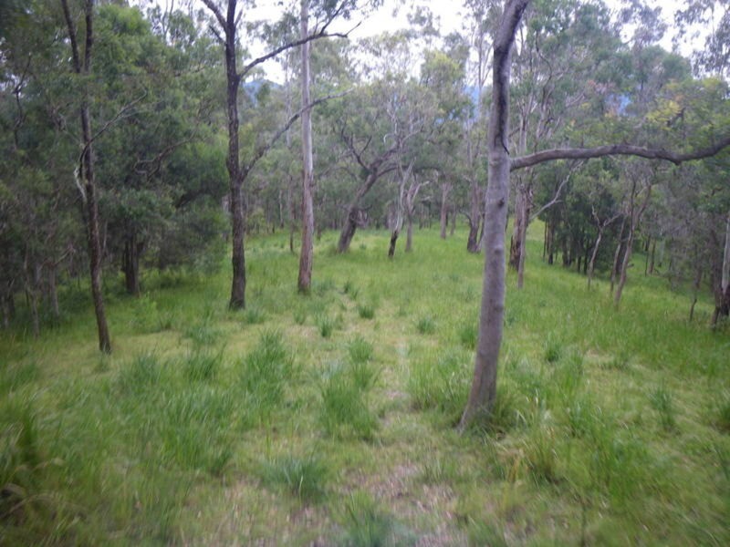 4 Boormans Road, Limpinwood NSW 2484