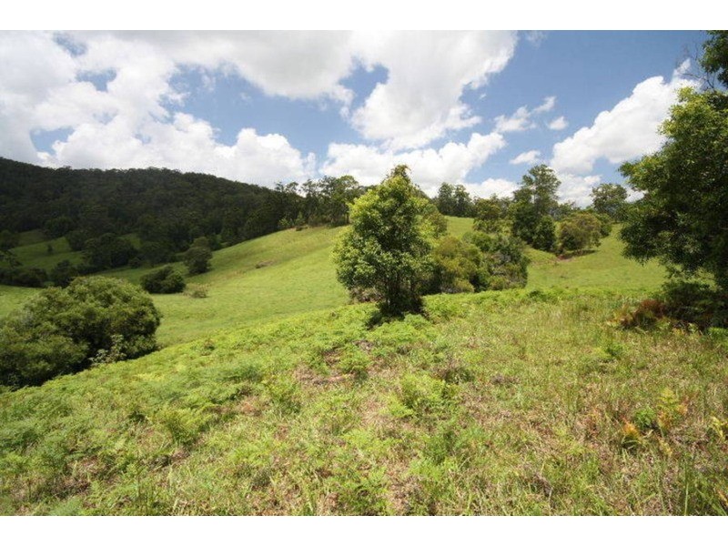 4 Boormans Road, Limpinwood NSW 2484