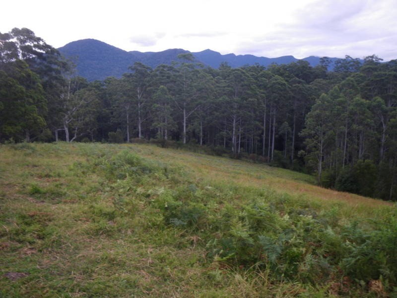 4 Boormans Road, Limpinwood NSW 2484