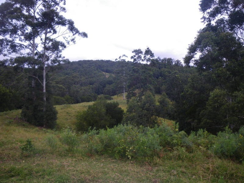 4 Boormans Road, Limpinwood NSW 2484