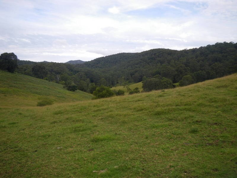 4 Boormans Road, Limpinwood NSW 2484