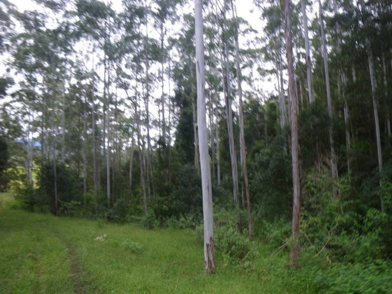 4 Boormans Road, Limpinwood NSW 2484