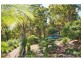 Murwillumbah NSW 2484