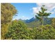 Murwillumbah NSW 2484