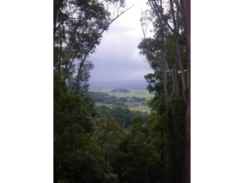 348 Farrants Hill Road, Farrants Hill NSW 2484