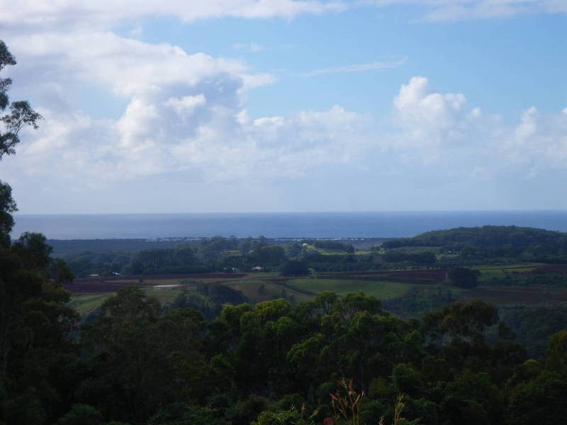 348 Farrants Hill Road, Farrants Hill NSW 2484