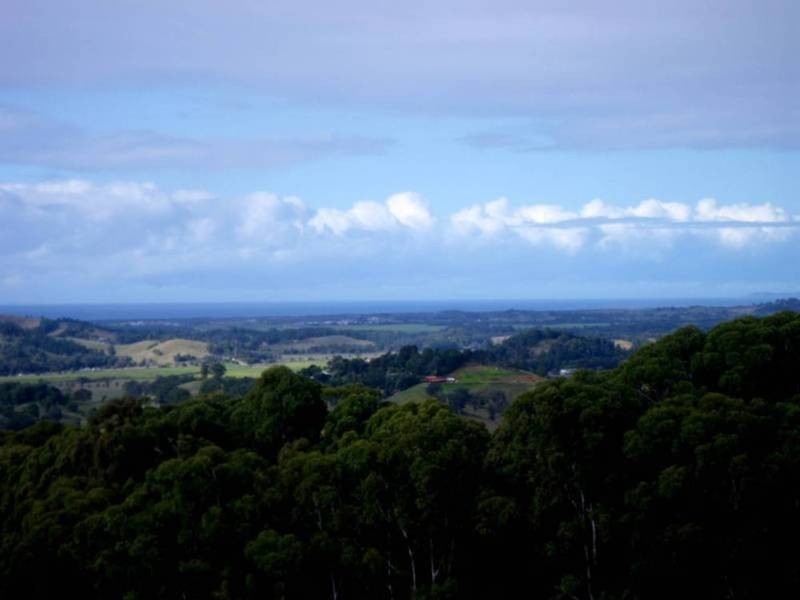 348 Farrants Hill Road, Farrants Hill NSW 2484