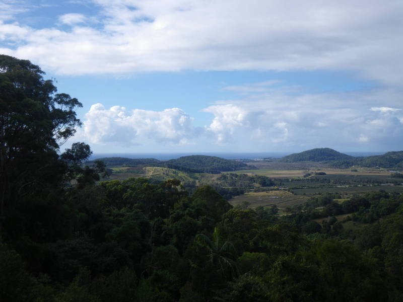 348 Farrants Hill Road, Farrants Hill NSW 2484
