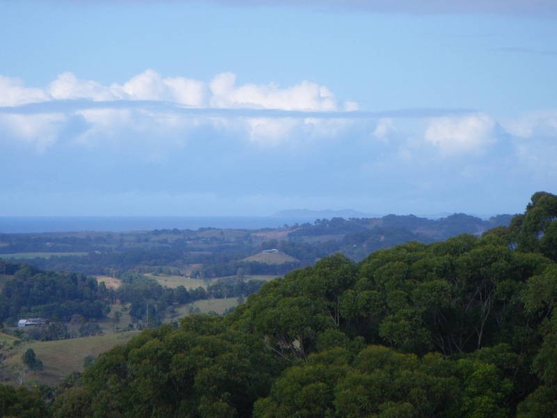 348 Farrants Hill Road, Farrants Hill NSW 2484
