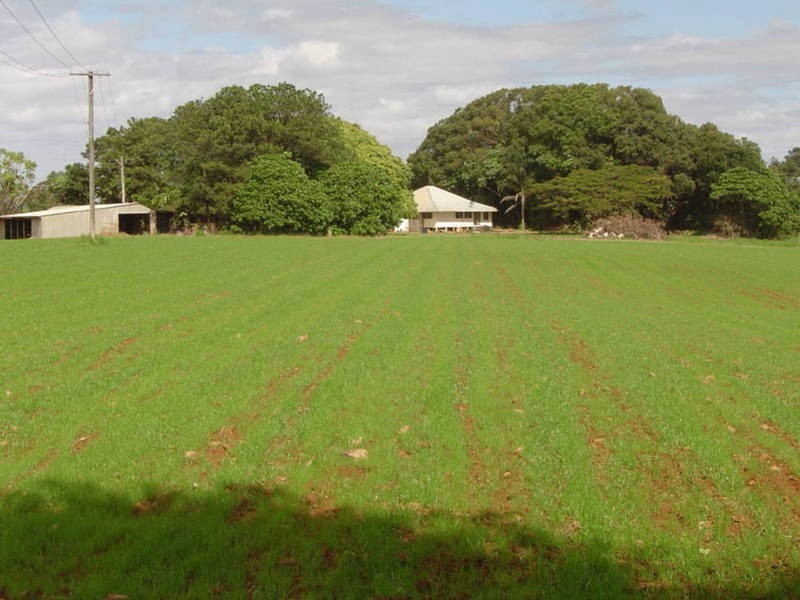 771 Cudgen Road, Kingscliff NSW 2487