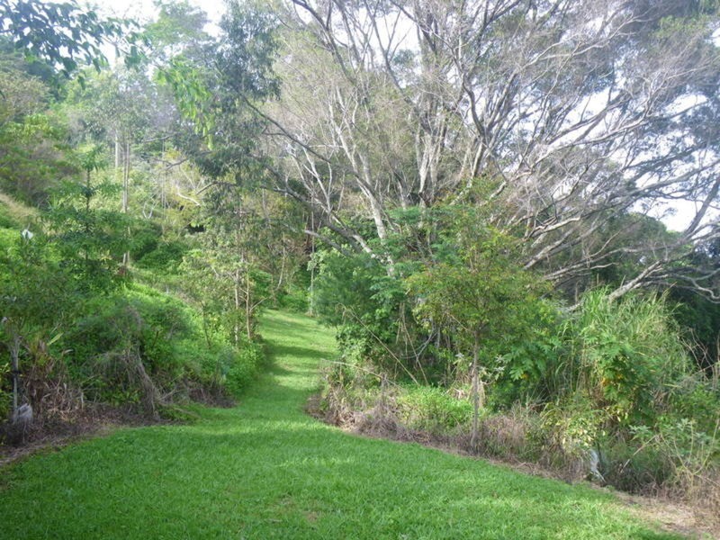 107 Farrants Hill Road, Farrants Hill NSW 2484