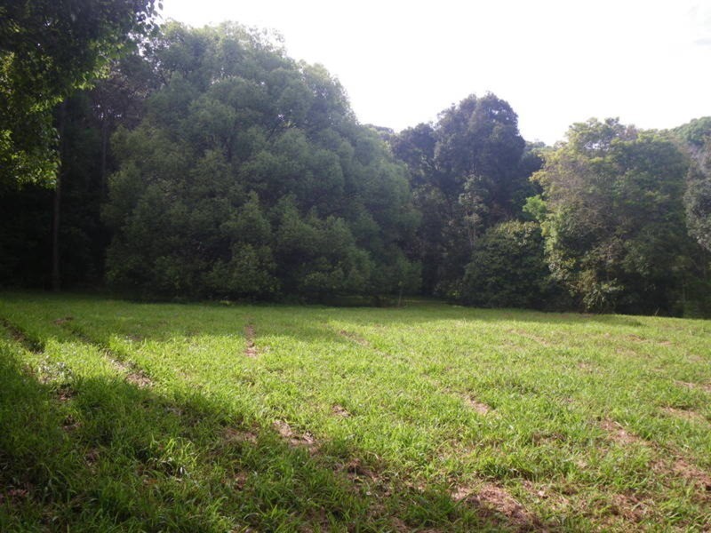 107 Farrants Hill Road, Farrants Hill NSW 2484