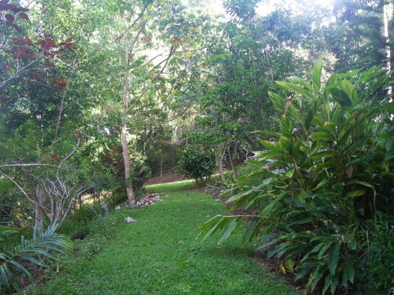 107 Farrants Hill Road, Farrants Hill NSW 2484