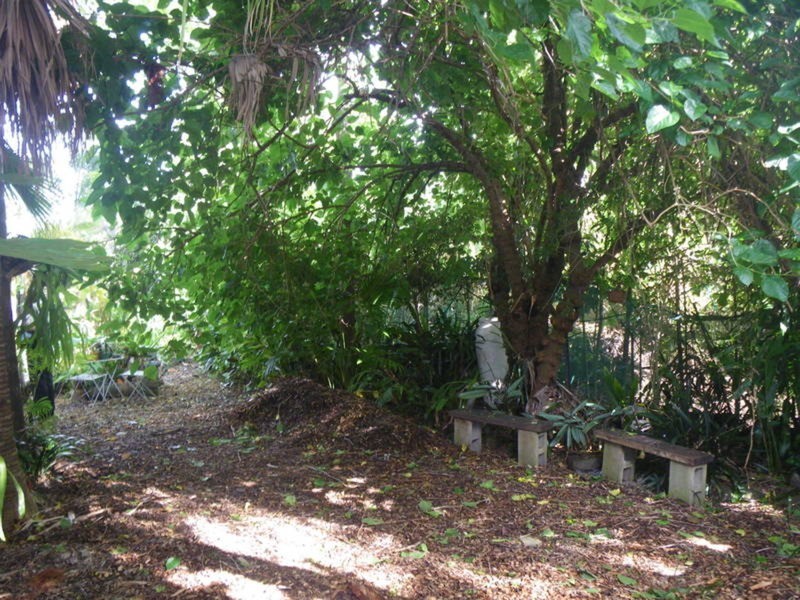 107 Farrants Hill Road, Farrants Hill NSW 2484