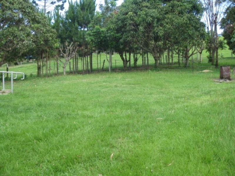 910 Clothiers Creek Road, Clothiers Creek NSW 2484