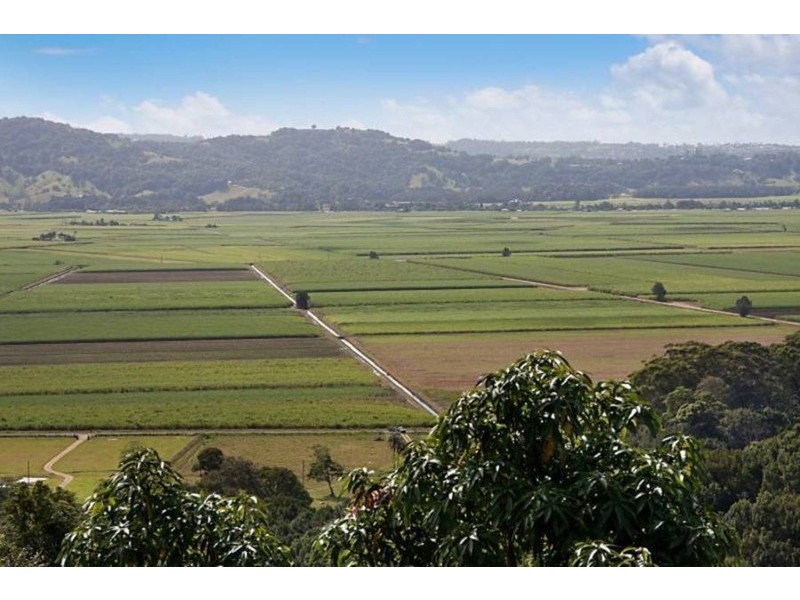 207 Farrants Hill Road, Farrants Hill NSW 2484