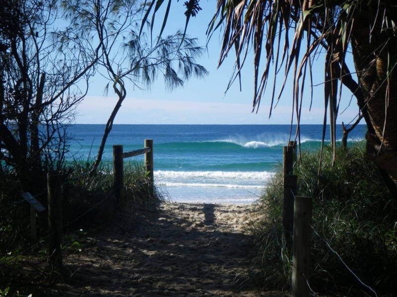 24 She-oak Lane, Casuarina NSW 2487