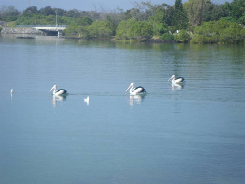 6/28 Moss Street, Kingscliff NSW 2487