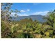 10 Gum Tree Court, Nunderi NSW 2484